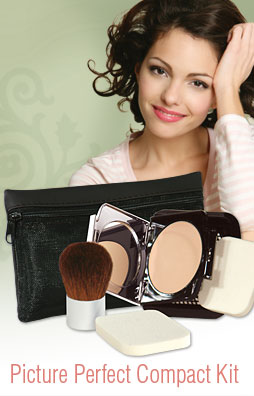 picture perfect compact kit